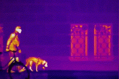 CA88(中国游)唯一官方网站